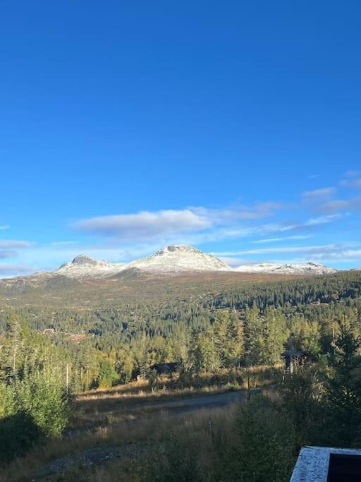 Hytte I Tuddal Villa Hjartdal Bagian luar foto